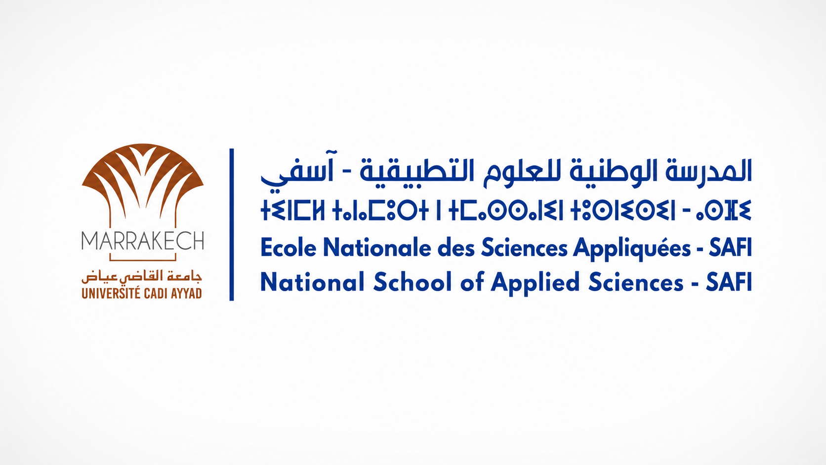 Concours Cycle Ingénieur ENSA Safi 2025 - Mécanique & Thermodynamique